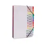 12 Pocket Expanding Project Sorter Heavy Duty Monthly Plastic Expandable Folder Organizer, A4 Letter Size, Multicolor – Bild 8