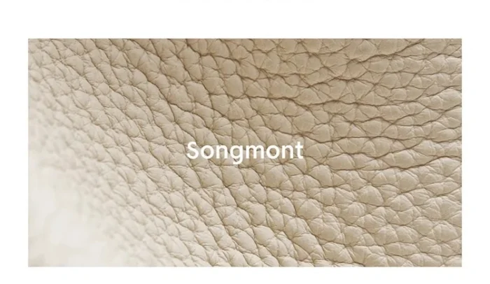Songmont Songyue Series Medium Moon Bend Bag Designer Crescent Bag Autumn and Winter New Shoulder Underarm Bag – Bild 15