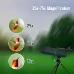 Nahaufnahme eines Vogels mit Teleskop, geeignet für Naturbeobachtung und Vogelbeobachtung, mit 25x-75x Vergrößerung.
