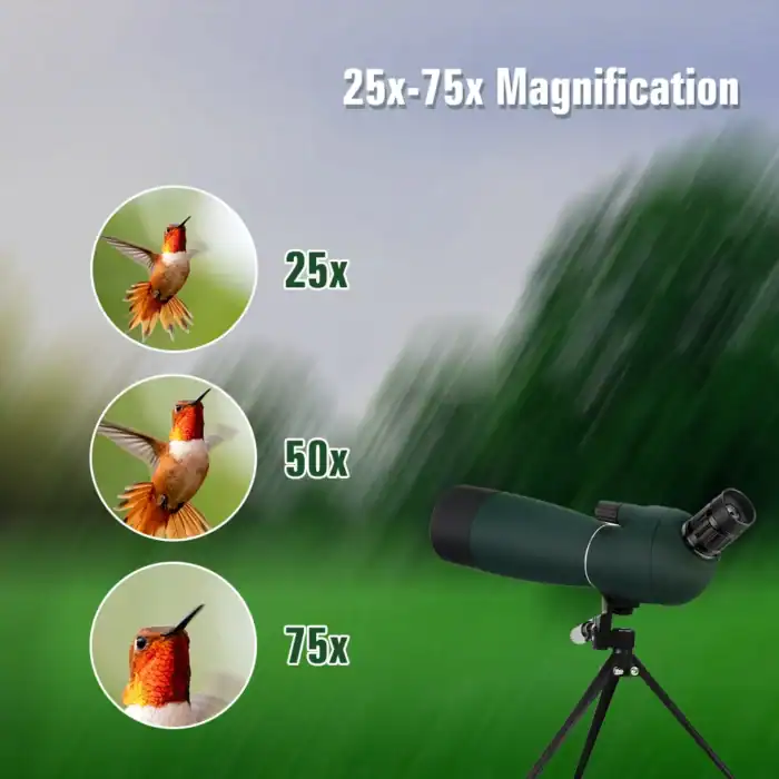 Nahaufnahme eines Vogels mit Teleskop, geeignet für Naturbeobachtung und Vogelbeobachtung, mit 25x-75x Vergrößerung.